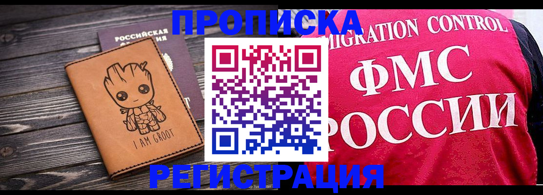 прописка 2025 в Кольчугино